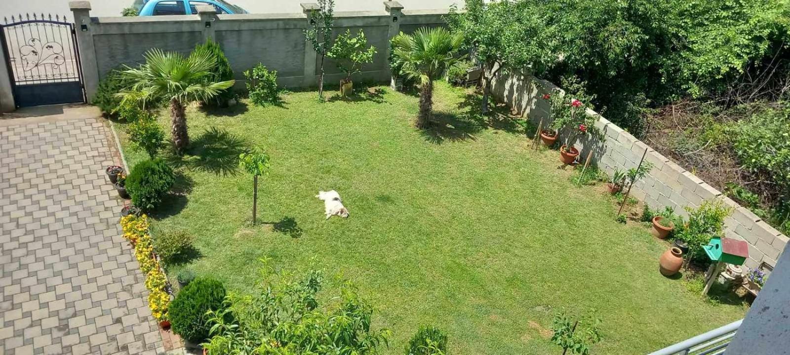 Antonij Apartment Gevgelija Ngoại thất bức ảnh